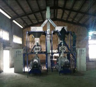 fish food production fish food production